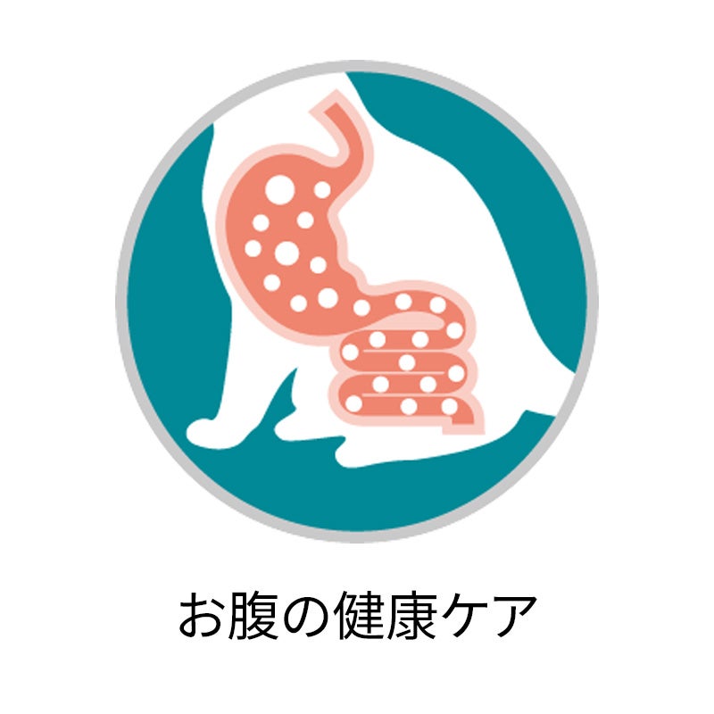 PURINA ONE サーモン＆ツナ 3kg 美味を求める成猫用 1歳以上 サーモン&ツナ - ピュリナ ワン キャット